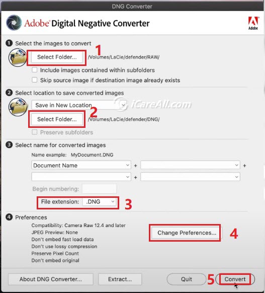 batch convert dng with adobe