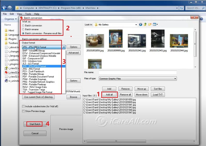 batch convert raw image infranview