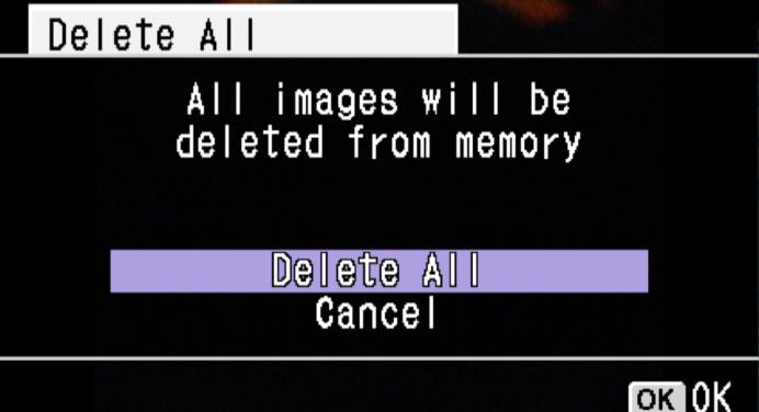 delete images camera