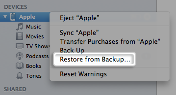 Restore deleted photos from iPhone with iTunes