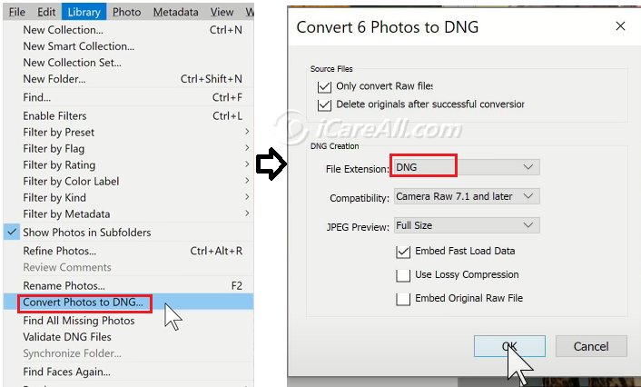 convert arw dng